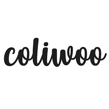 Coliwoo Holdings Limited (Singapore) 2026: Strong Growth, 24% Earnings CAGR & New Co-Living Expansions – Analyst Report Summary 12