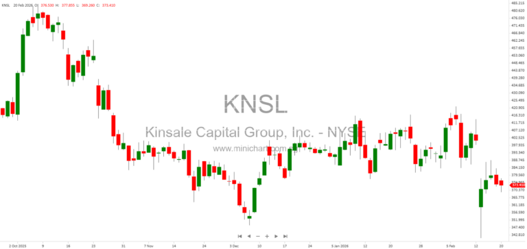Kinsale Capital Group 2025 Annual Report: Financial Performance, Risk Factors, and Strategic Overview