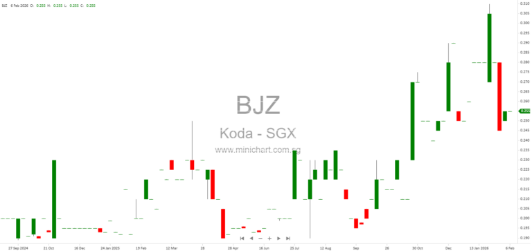 Koda Ltd 1H2026 Financial Results: Revenue Up 6.8%, No Interim Dividend Declared