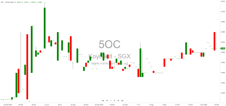 Koyo International Limited 2025 Financial Results: Revenue Surge, No Dividend Declared