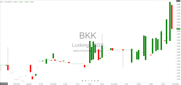 Luxking Group Holdings Limited HY2026 Results: 53.5% Profit Surge, No Dividend Declared for Six Months Ended 31 December 2025