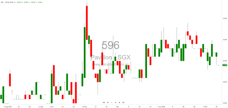 Pavillon Holdings Ltd FY2025 Results: Net Loss Due to Property Valuation, No Dividend Declared