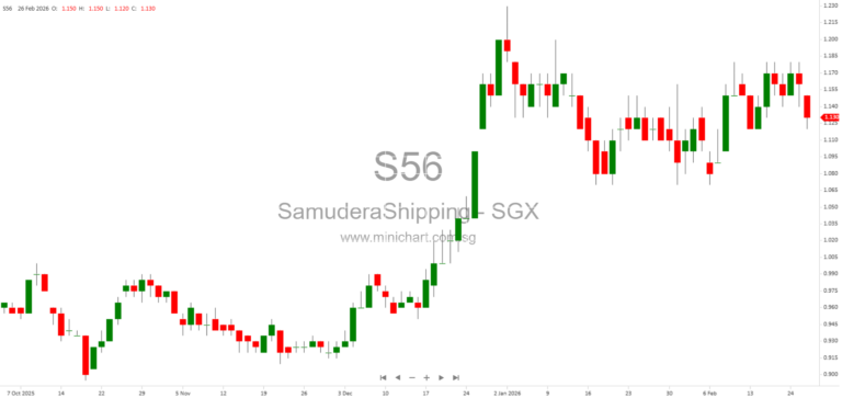 FY 2025 Business Update: Container Shipping, Fleet Size, and Logistics Performance Overview