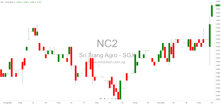 Sri Trang Agro-Industry 2025 Financial Statements Audited by EY: Key Audit Matters, Revenue Recognition, and No Dividend Details Provided