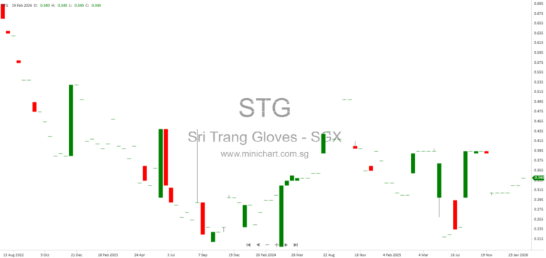 Sri Trang Gloves (Thailand) 2025 Financial Statements and Auditor’s Report by EY – Revenue Recognition & Audit Highlights (No Dividend Details Provided)