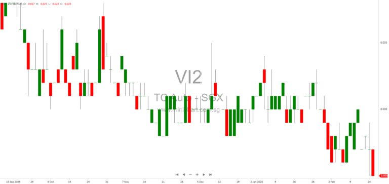 Trans-China Automotive Holdings Limited FY2025 Financial Results: Revenue Decline, Net Loss, No Dividend Declared