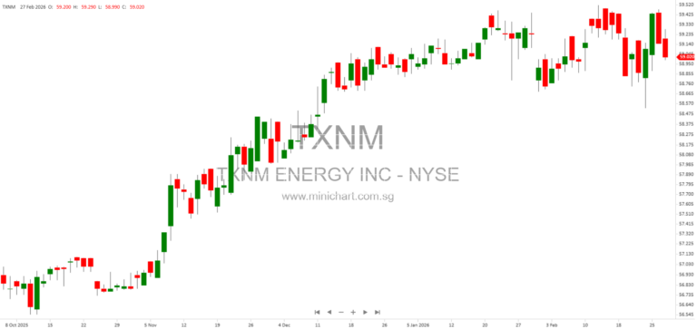 Public Service Company of New Mexico (PNM) 2025 Annual 10-K Report: Financials, Debt Instruments, and Major Customers Overview