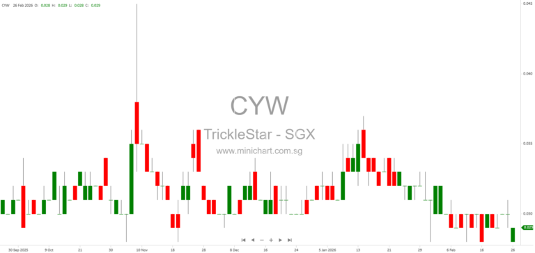 TrickleStar Limited 2025 Audited Financial Results – Revenue Decline, No Dividend Declared