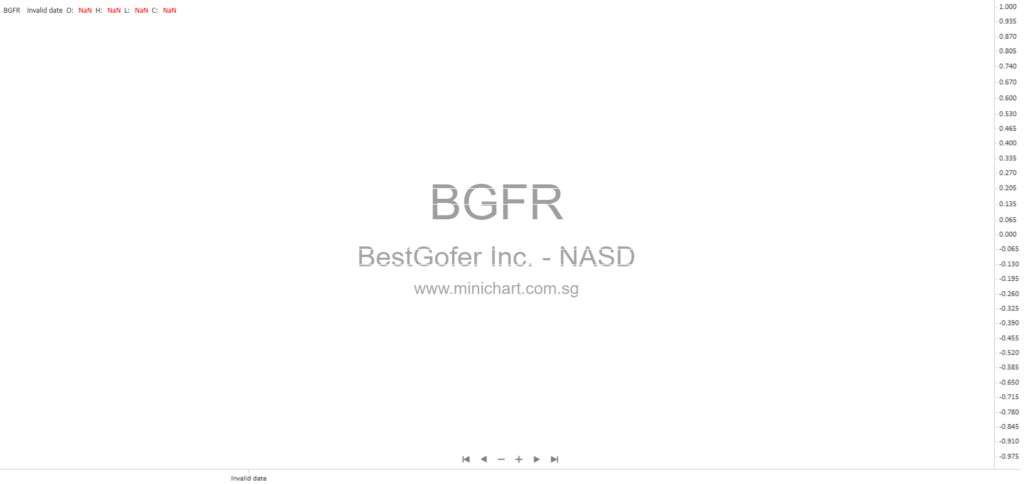 BestGofer Inc. 2025 Annual Report: Business Overview, Financial Statements, and Segment Analysis