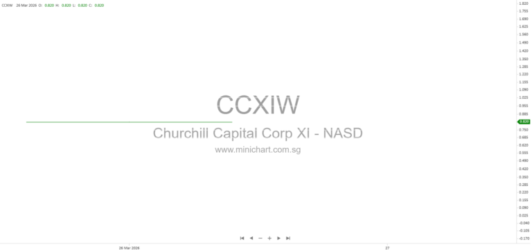 Churchill Capital Corp XI 2025 10-K Annual Report: Business Strategy, Management, and SPAC Investment Criteria Overview