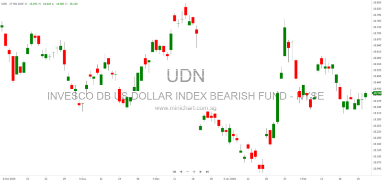 Invesco DB US Dollar Index Bearish Fund 10-K: Index Composition, Risks, and Financial Analysis 891630