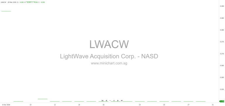 LightWave Acquisition Corp. 2025 Annual Report: Business Overview, Strategy, Management, and Financials