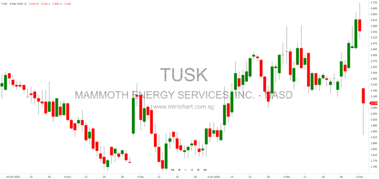 Mammoth Energy Services, Inc. 2025 Annual Report: Business Overview, Industry Insights, and Strategic Growth