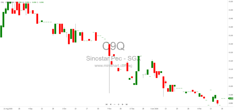 Sinostar PEC Holdings 2025 Financial Results: 89% Profit Drop, No Dividend Declared Amid Market Volatility