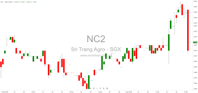 Sri Trang Agro-Industry (STA) 2025 Company Overview, Market Outlook, and Dividend Payment Details (2021-2026)