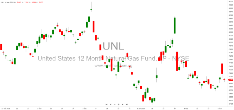 United States 12 Month Natural Gas Fund, LP (UNL) 2025 Annual Report: Business, Risk Factors, Fees, Financials & SEC Filings