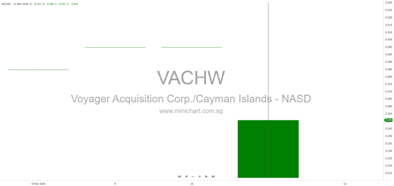 Voyager Acquisition Corp. 2024 10-K: Business Strategy, Investment Criteria, and SPAC Overview