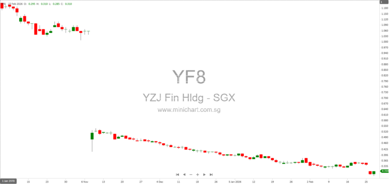 Yangzijiang Financial Holding Ltd. FY2025 Results: No Dividend Declared, Full Financial Statements, Spin-Off Impact, and Outlook 30