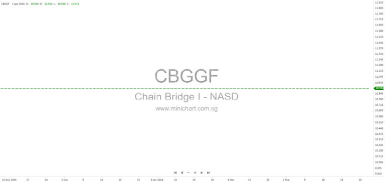 Chain Bridge I 2025 Annual Report: Business Combination Strategy, Criteria, and Key Risks for Investors