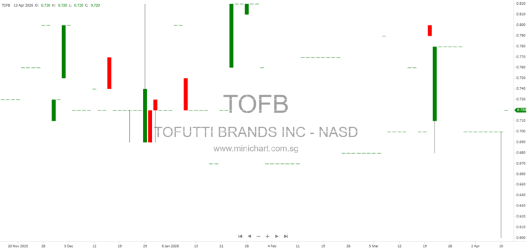 Tofutti Brands Inc. 2025 Annual Report: Plant-Based Dairy Free Products, Market Competition, and Business Risks