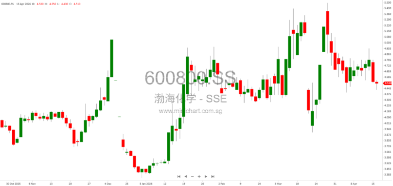 Tianjin Bohai Chemical Co., Ltd. 2025 Related Party Financial Transactions Audit Report and Special Statement on Deposits and Loans
