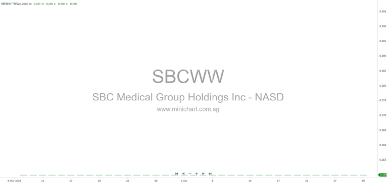 SBC Holdings Corporate Governance, Executive Compensation, and Management Services for Medical Corporations (2025)