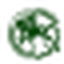 0211 Logo