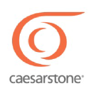 CSTE Logo