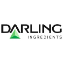 DAR Logo